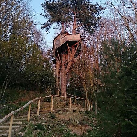 Sherwood Tree 埃特勒塔 外观 照片