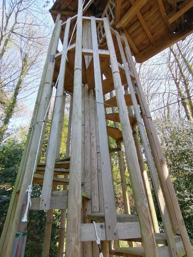 Sherwood Tree 埃特勒塔 外观 照片