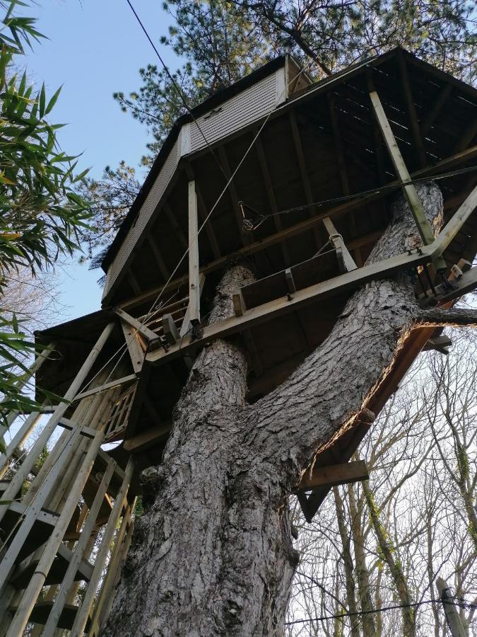 Sherwood Tree 埃特勒塔 外观 照片