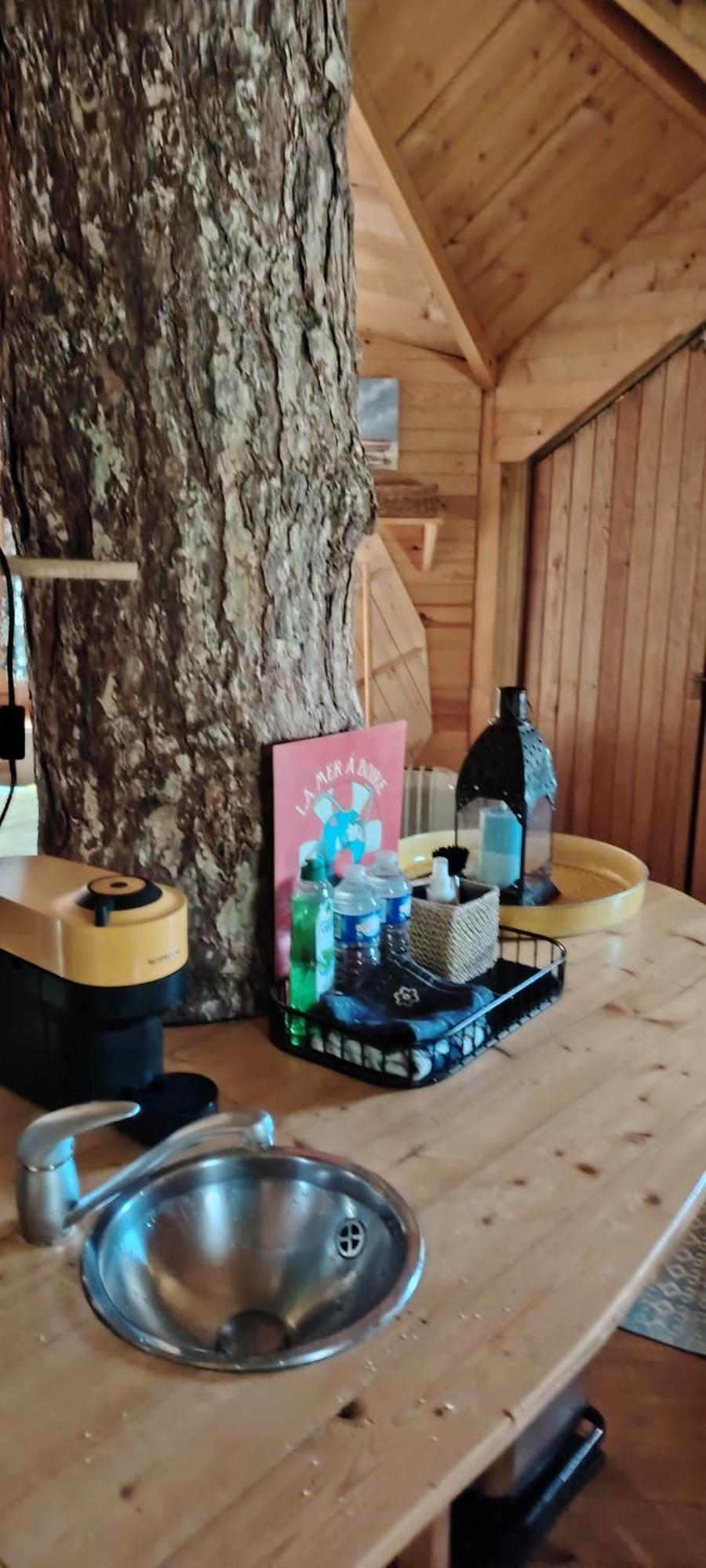 Sherwood Tree 埃特勒塔 外观 照片