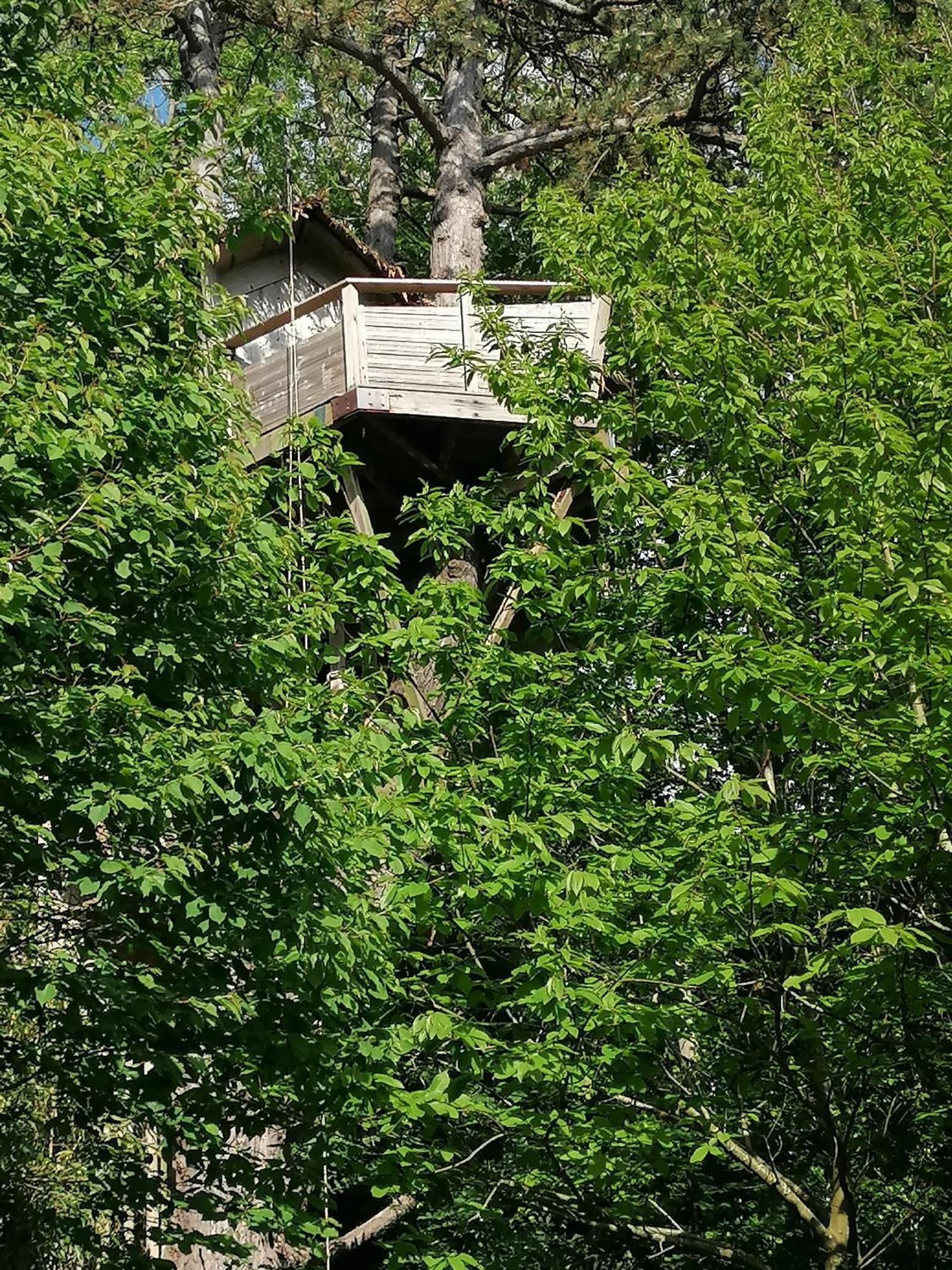 Sherwood Tree 埃特勒塔 外观 照片
